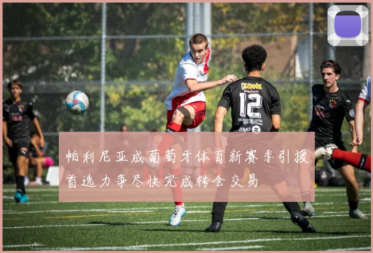 帕利尼亚成葡萄牙体育新赛季引援首选力争尽快完成转会交易